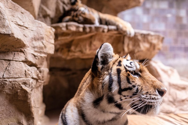 Wildlife Sanctuaries